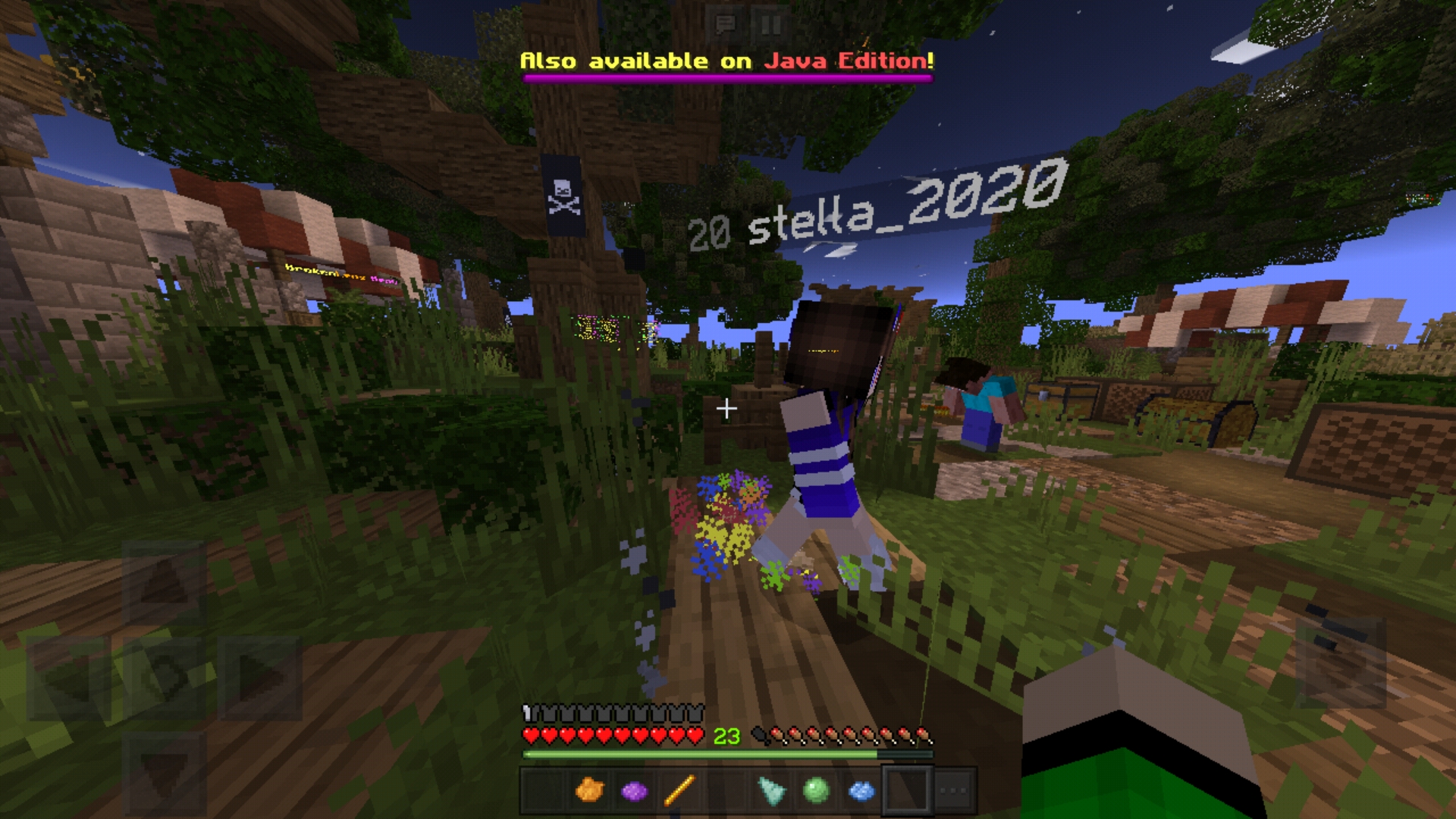 Screenshot_20201106_225941_com.mojang.minecraftpe.jpg