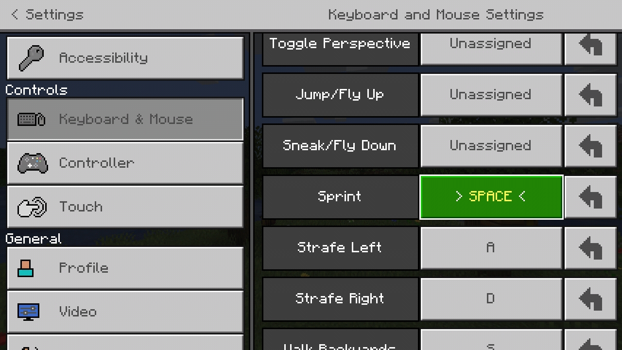 Screenshot_20201226-184400_Minecraft.jpg