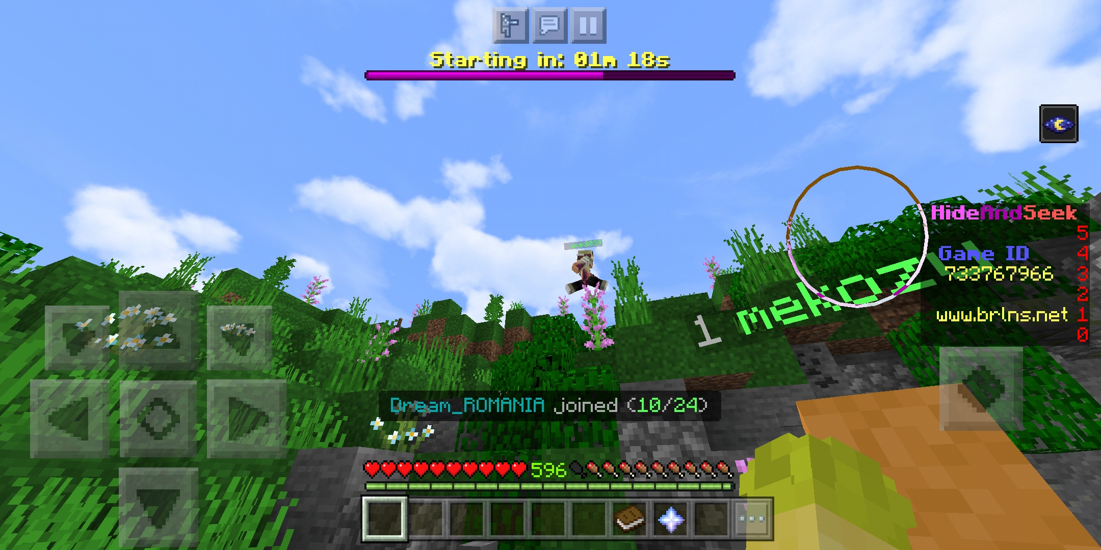 Screenshot_2021-01-04-19-11-35-512_com.mojang.minecraftpe.jpg