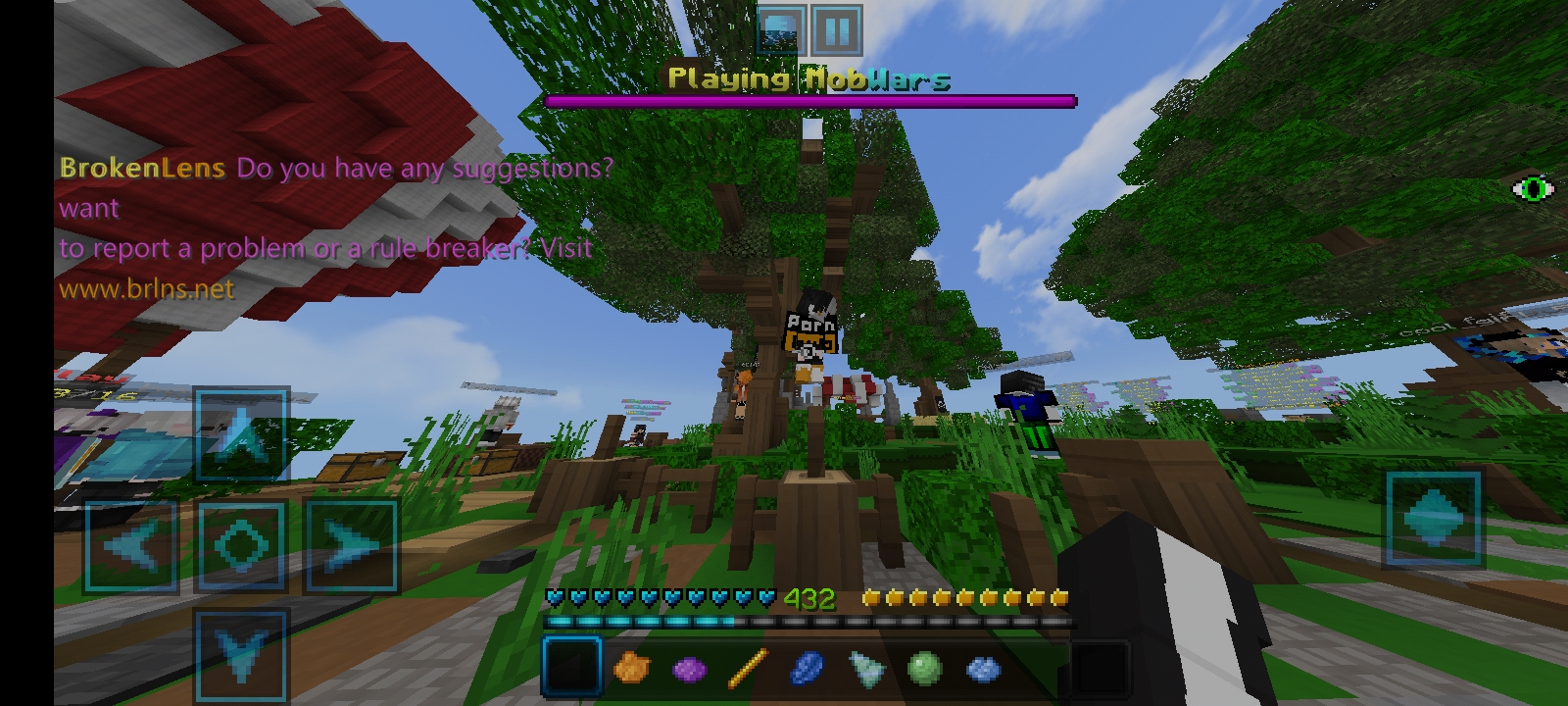 Screenshot_2021-01-16-16-34-49-755_com.mojang.minecraftpe.jpg