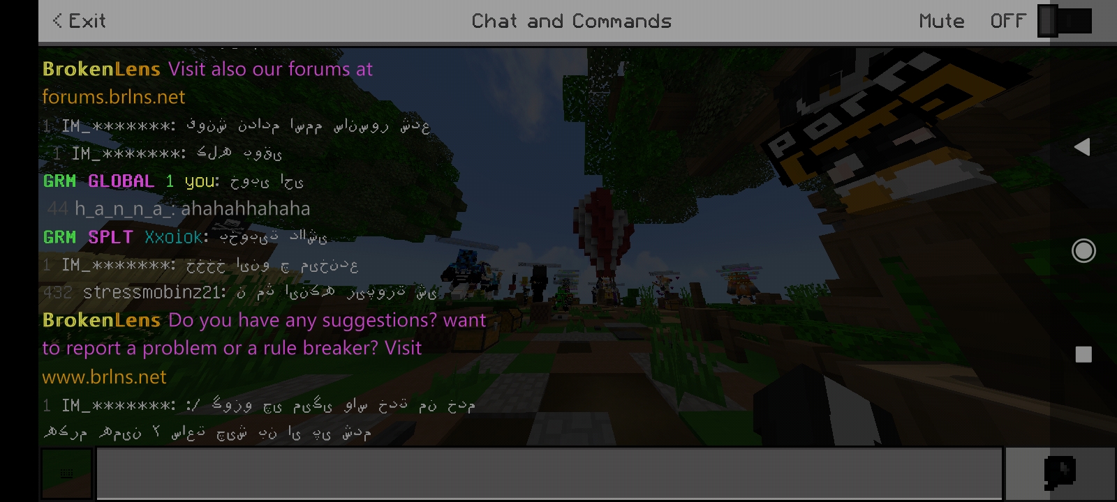 Screenshot_2021-01-16-16-35-07-528_com.mojang.minecraftpe.jpg