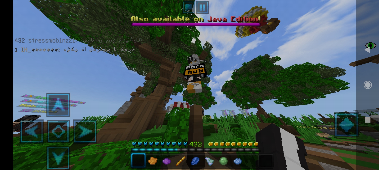 Screenshot_2021-01-16-16-38-15-542_com.mojang.minecraftpe.jpg
