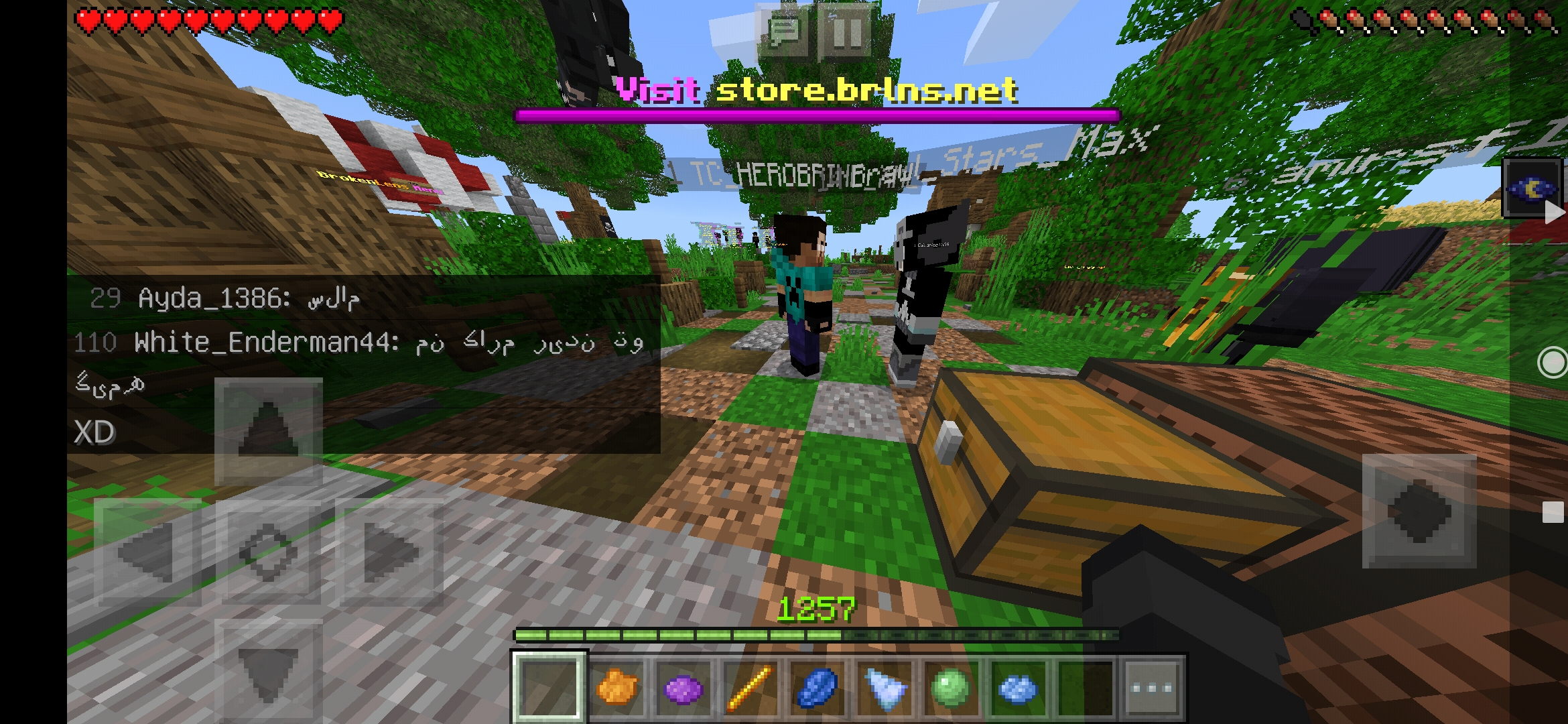 Screenshot_2021-01-29-15-06-05-613_com.mojang.minecraftpe.jpg