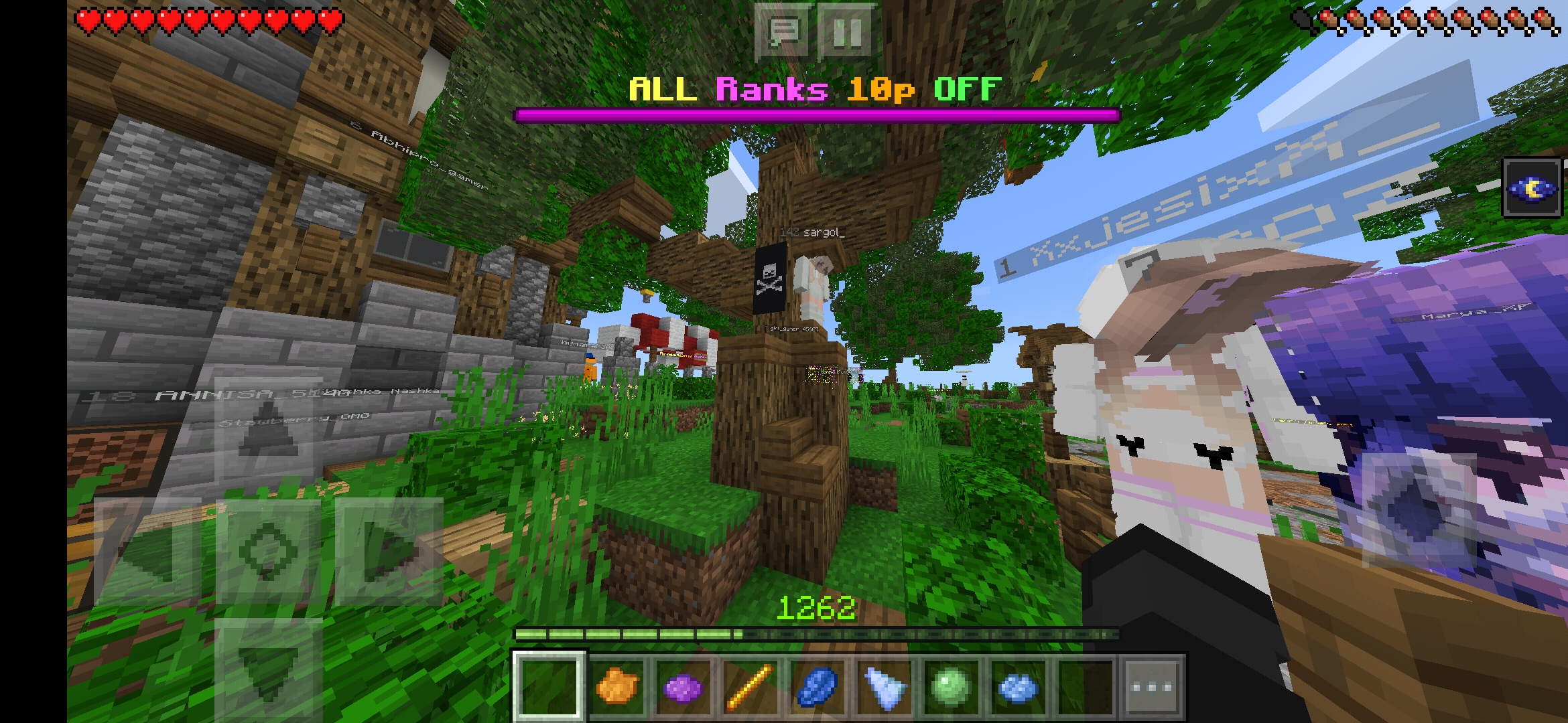 Screenshot_2021-01-29-16-54-21-732_com.mojang.minecraftpe.jpg