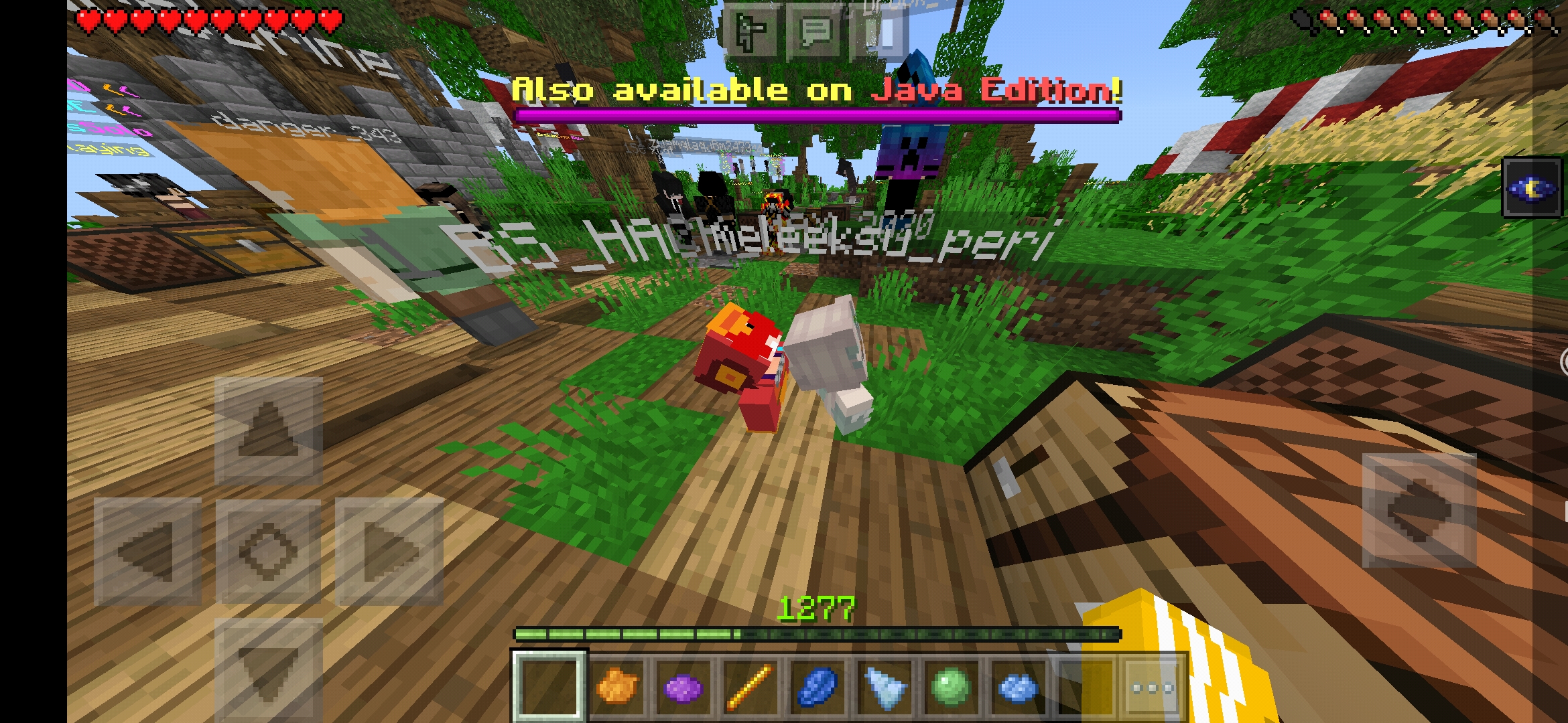 Screenshot_2021-02-05-15-00-58-731_com.mojang.minecraftpe.jpg