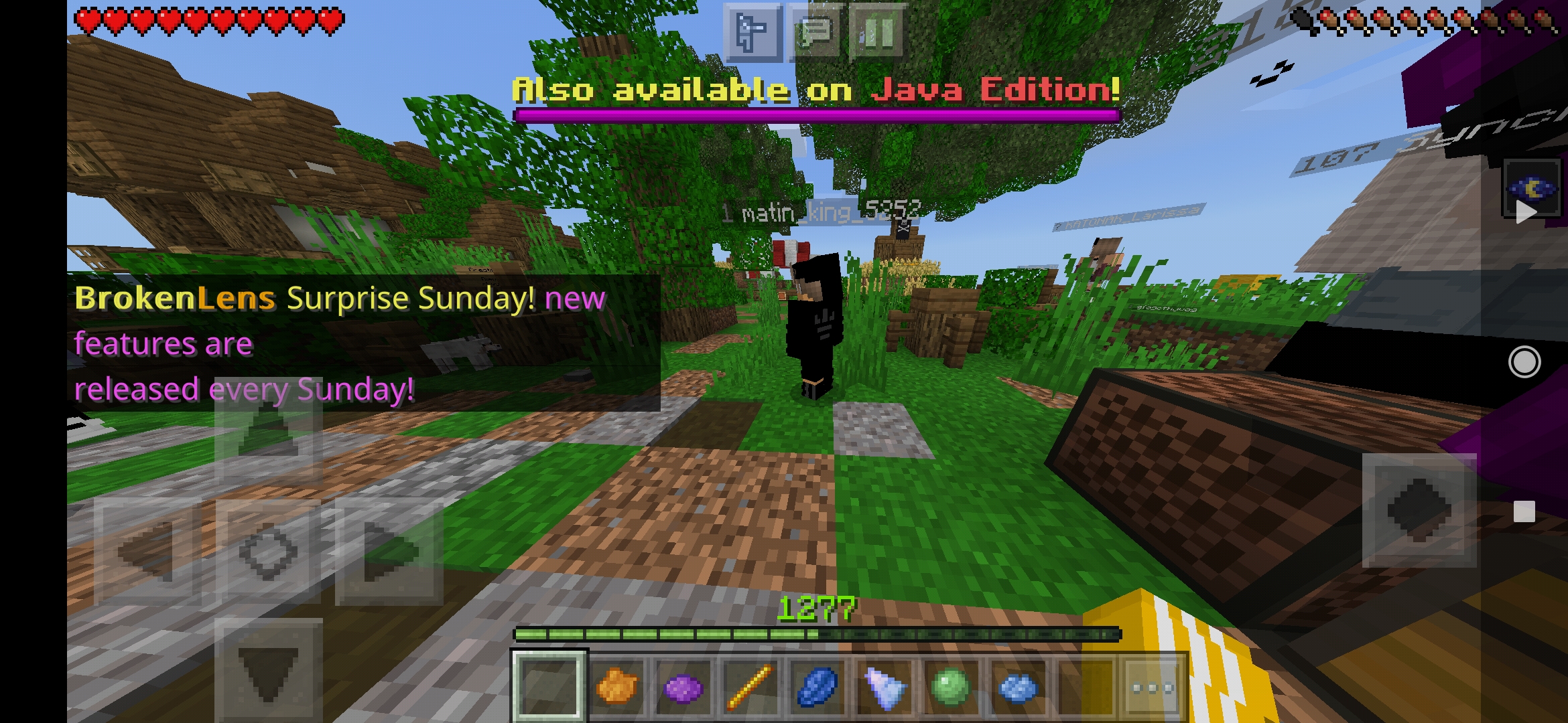 Screenshot_2021-02-05-23-23-17-937_com.mojang.minecraftpe.jpg
