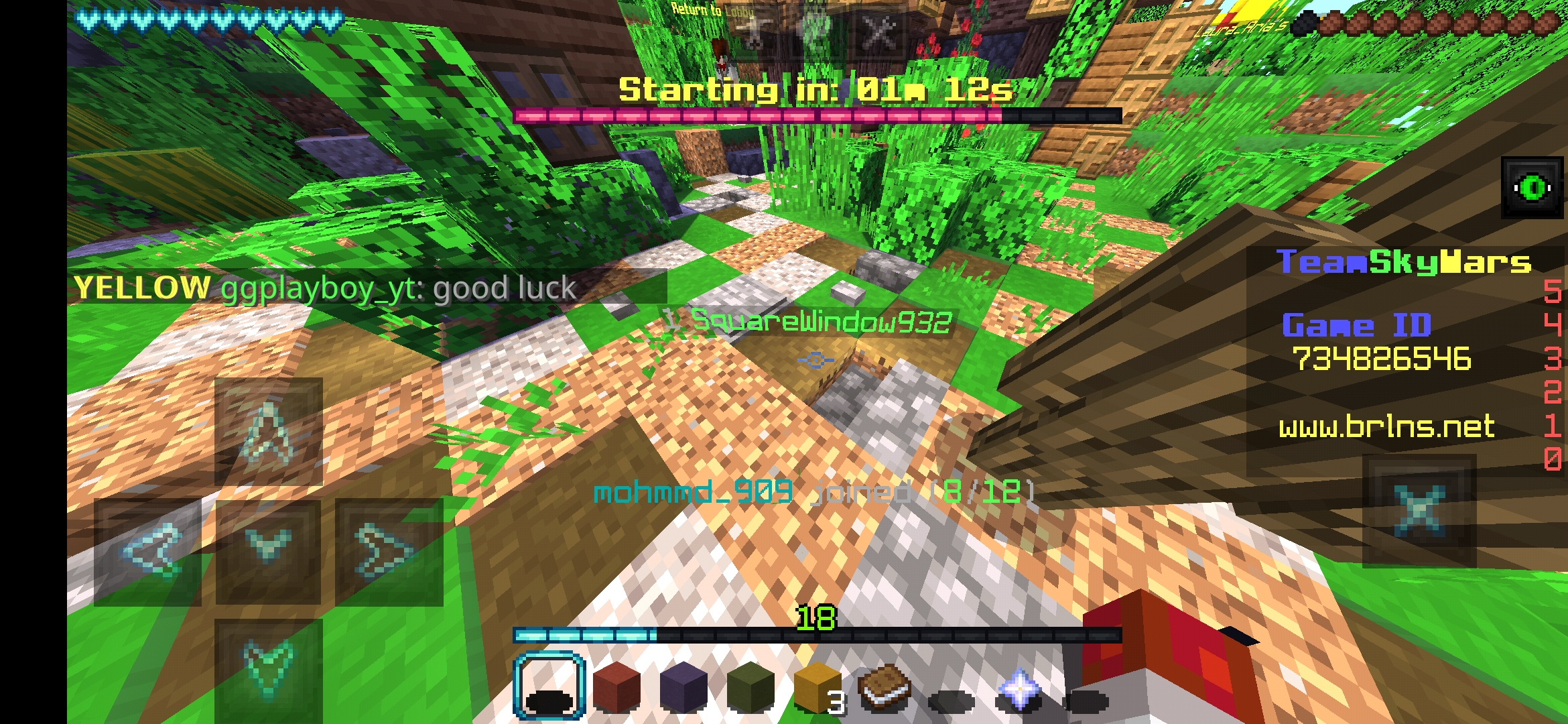 Screenshot_2021-03-01-20-53-19-939_com.mojang.minecraftpe.jpg