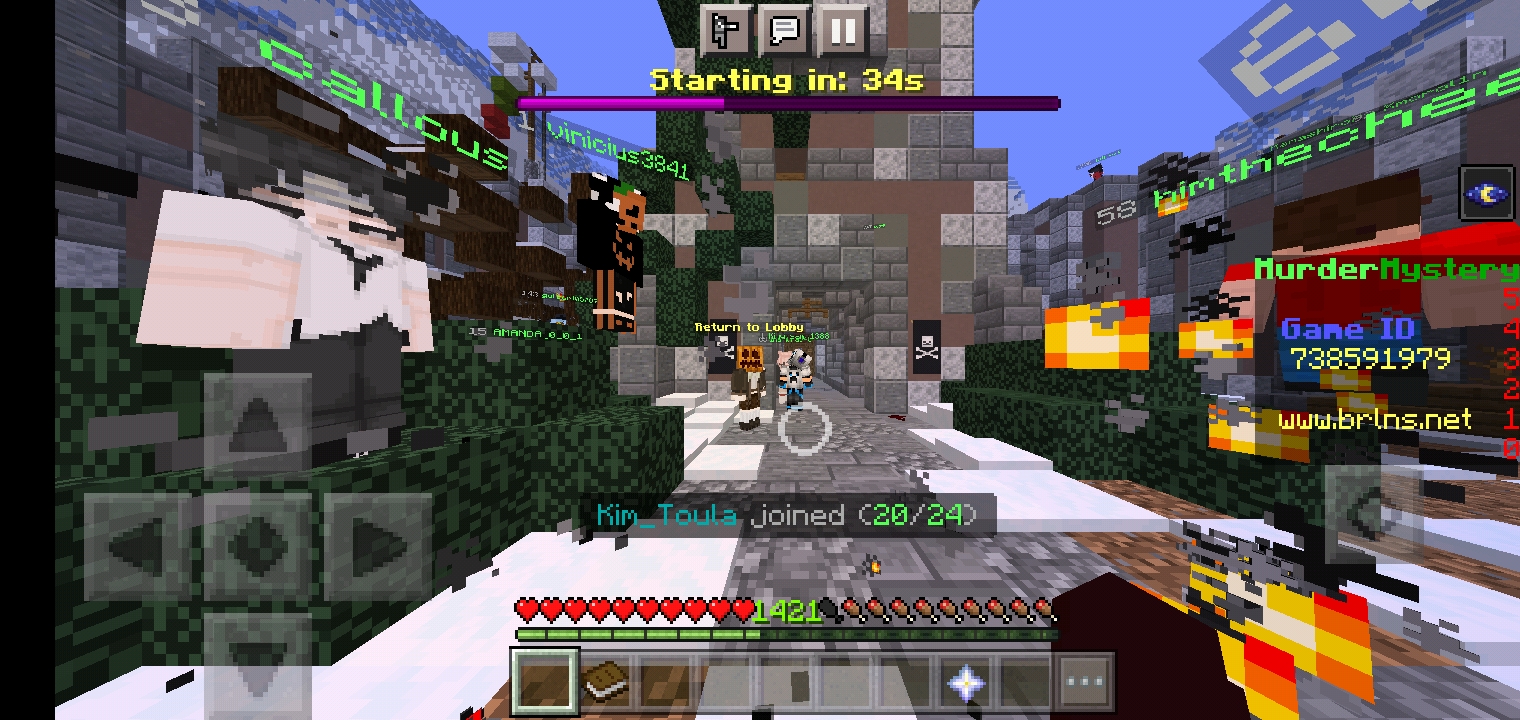Screenshot_2021-10-13-01-46-30-612_com.mojang.minecraftpe.jpg