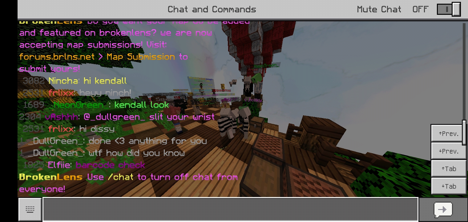 Screenshot_20210201-182101_Minecraft.jpg