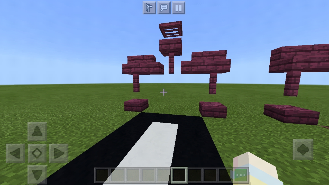 Screenshot_20210202-215304_Minecraft.jpg