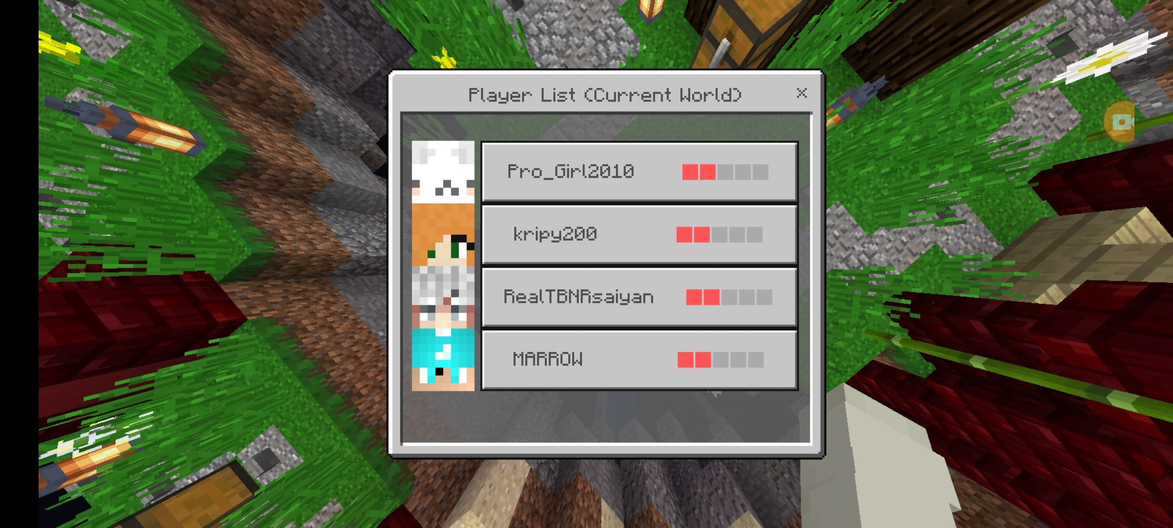 Screenshot_20210320-173731_Minecraft.jpg