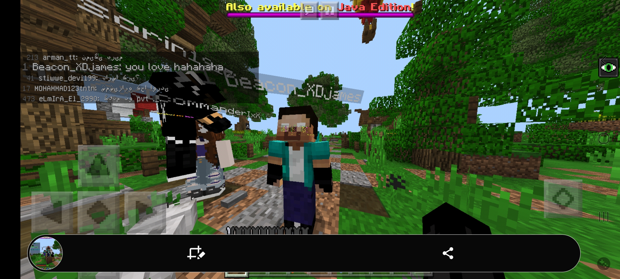 Screenshot_20210328-151514_Minecraft.jpg