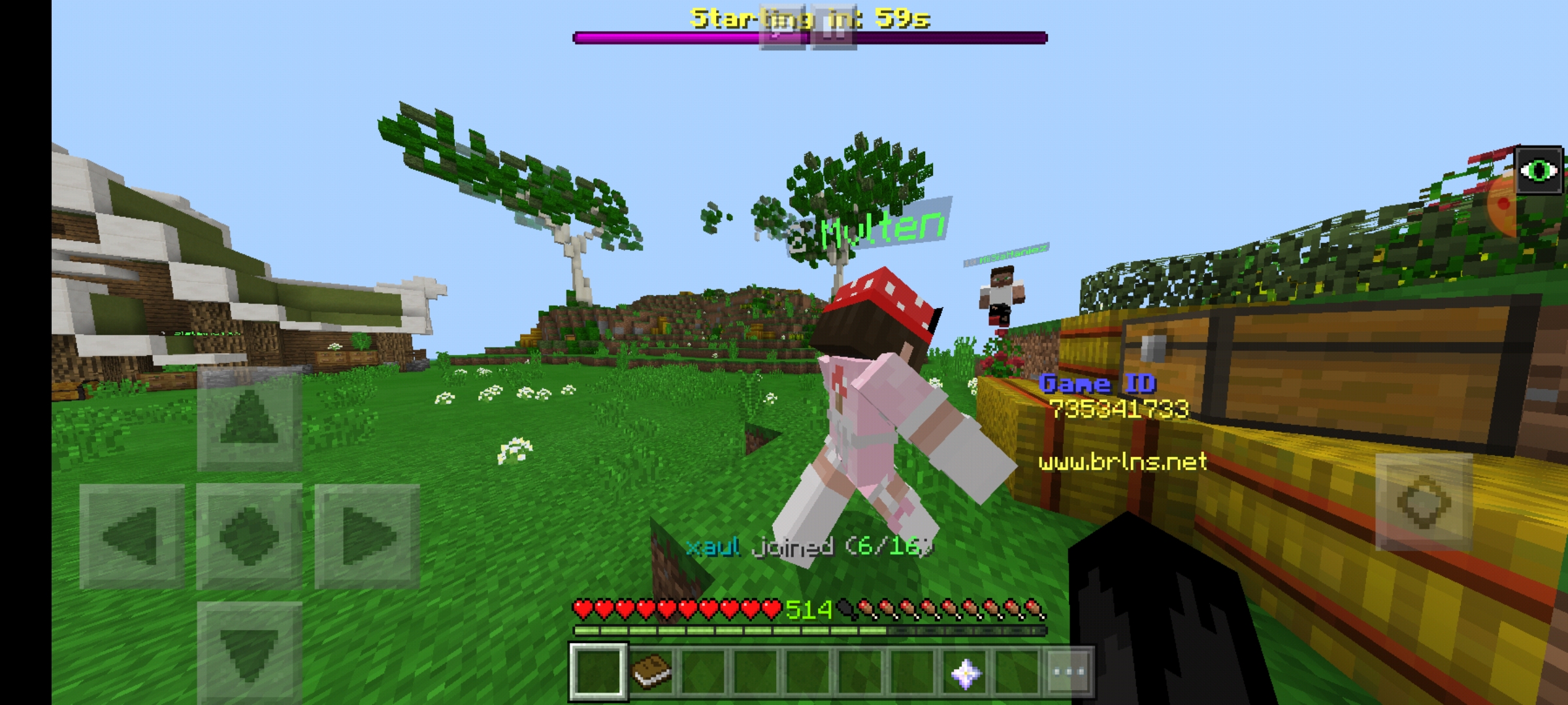Screenshot_20210331-190915_Minecraft.jpg