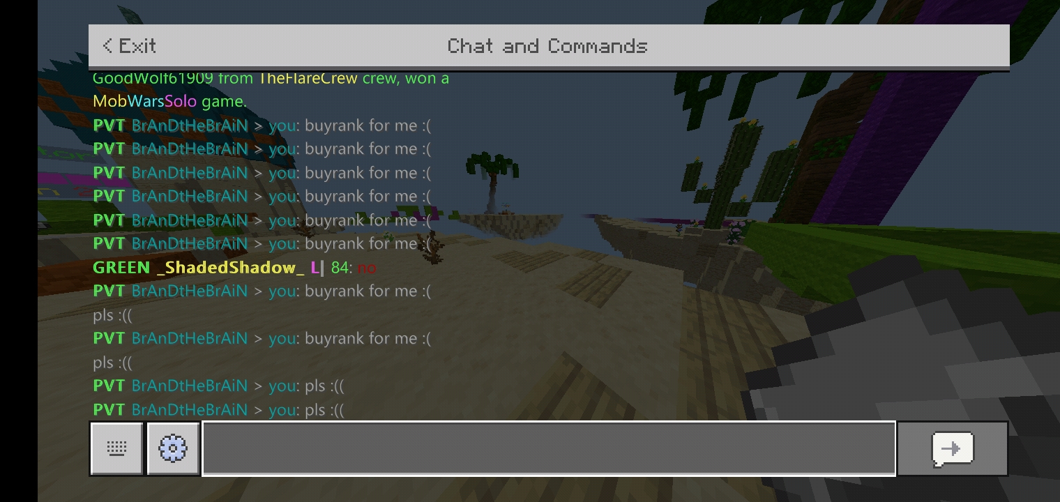 Screenshot_20210506-191426_Minecraft.jpg