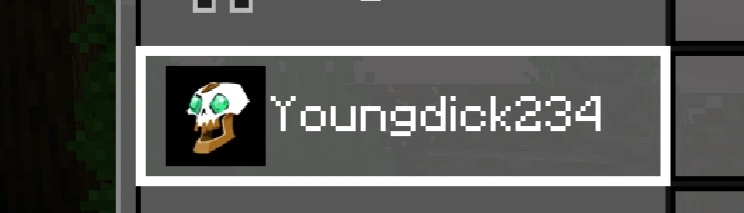 Screenshot_20210619-005636_Minecraft.jpg
