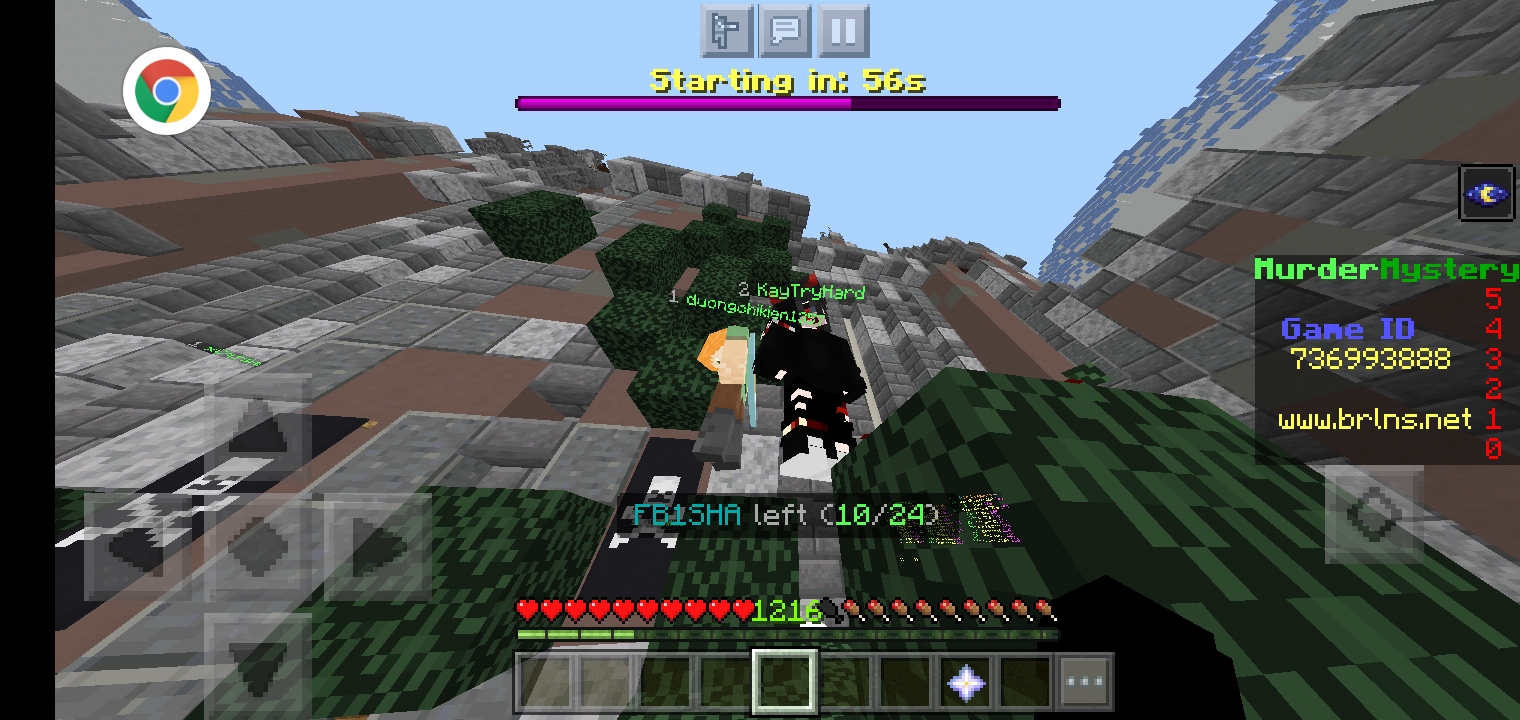 Screenshot_20210709-112358_Minecraft.jpg