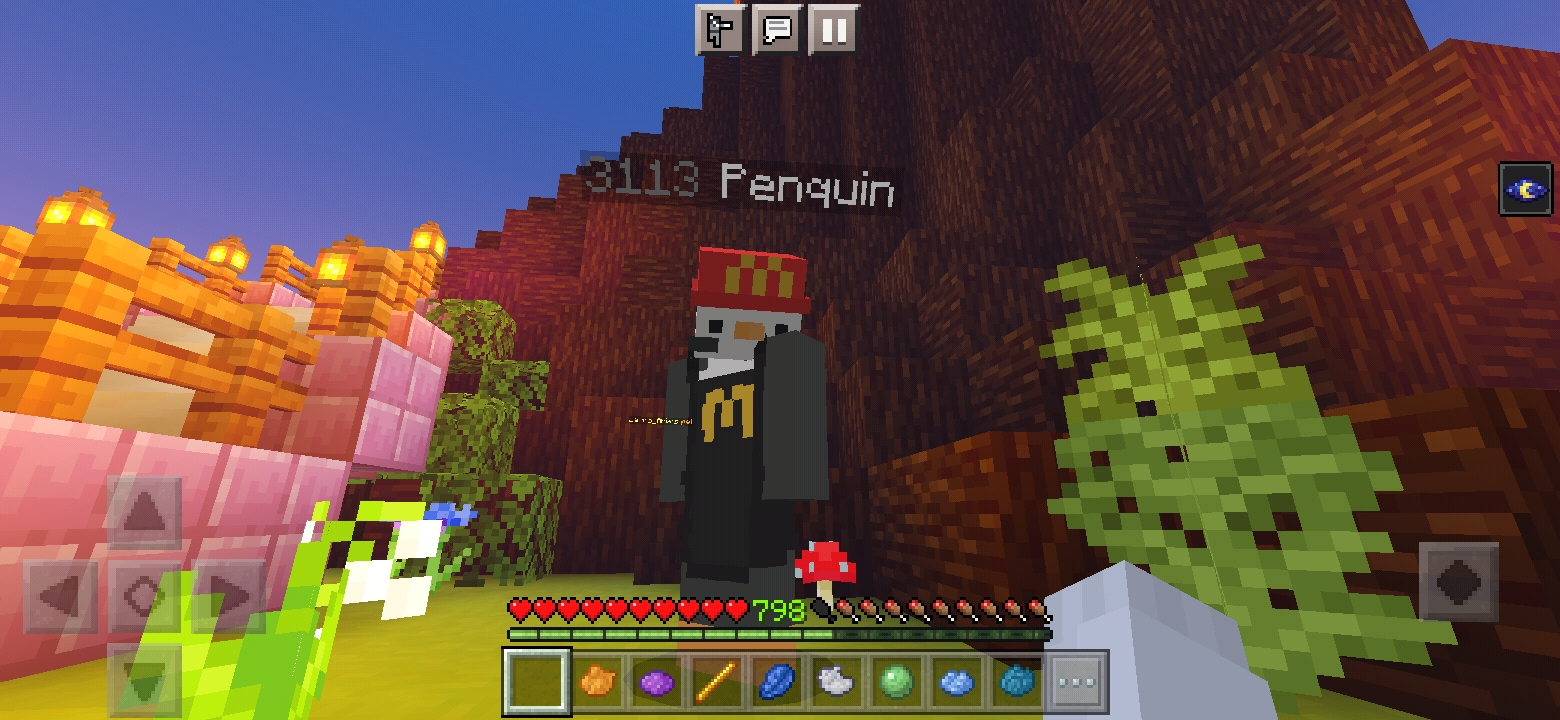 Screenshot_20210719-202759_Minecraft.jpg