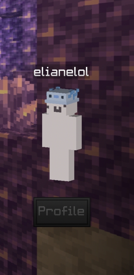 Screenshot_20210725-023350_Minecraft.jpg