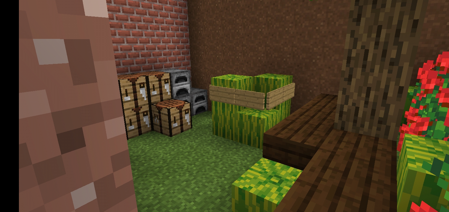 Screenshot_20210815_164835.jpg