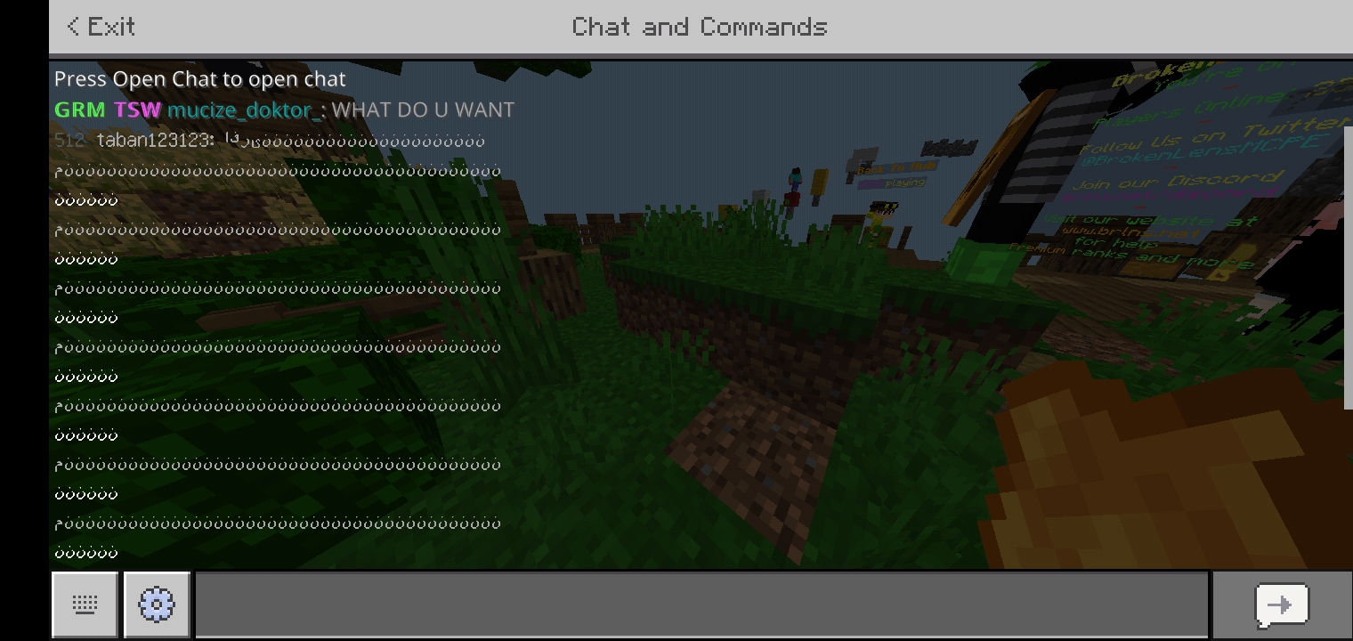 Screenshot_20210817-195751_Minecraft.jpg