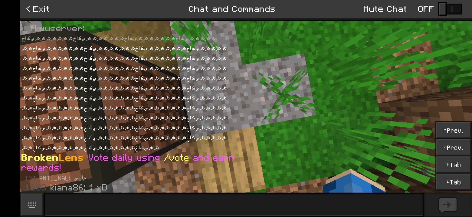 Screenshot_20210821-002003_Minecraft.jpg