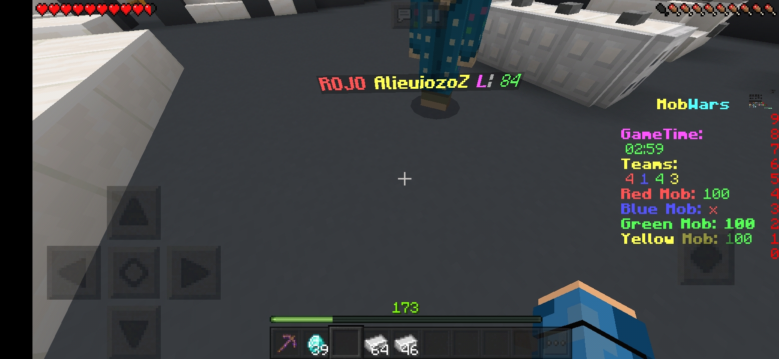 Screenshot_20210827-130628_Minecraft.jpg