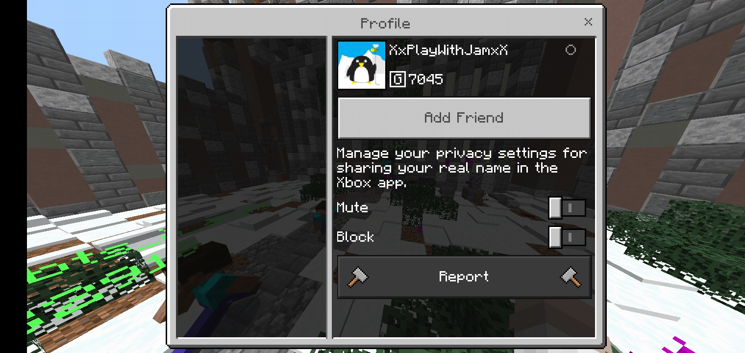 Screenshot_20210829-150431_Minecraft.jpg