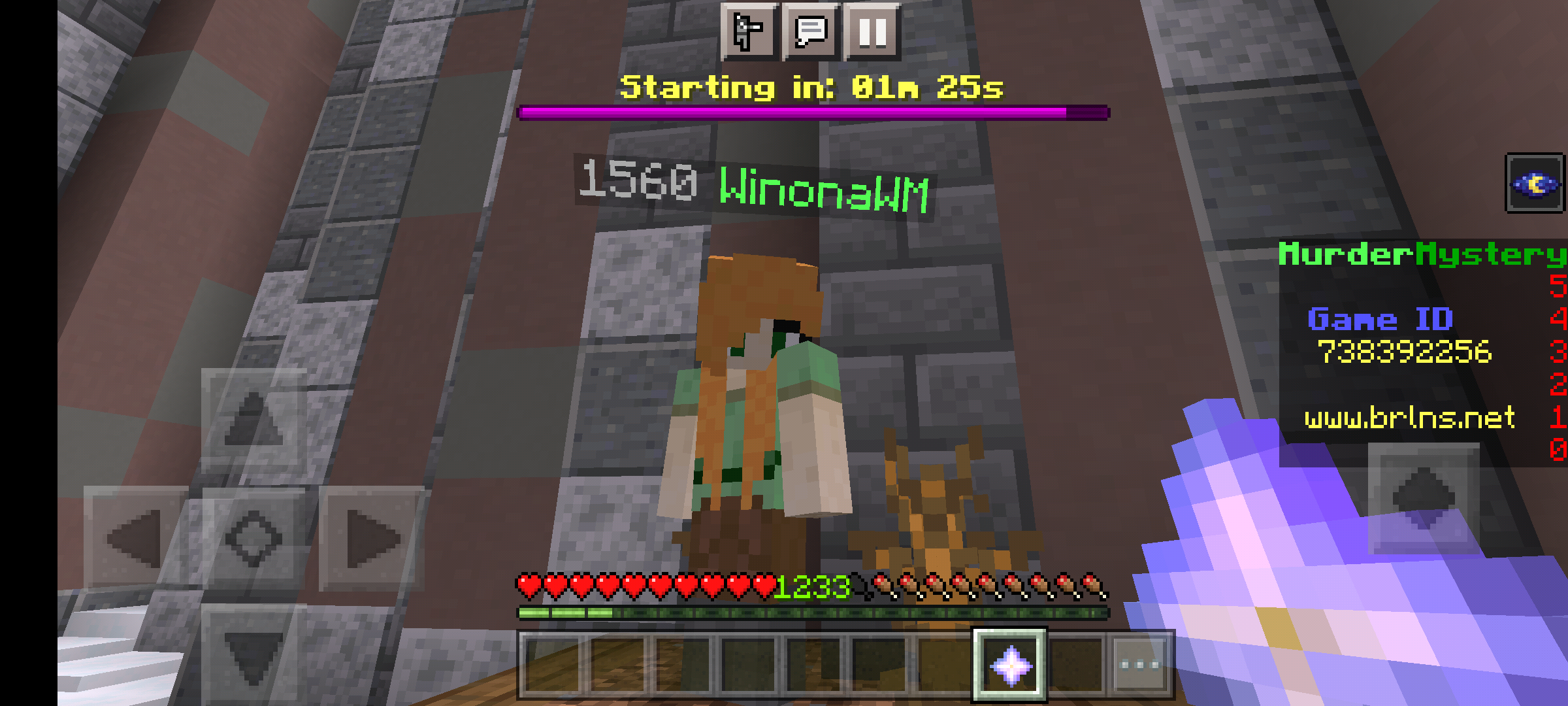 Screenshot_20210929-134313_Minecraft.png