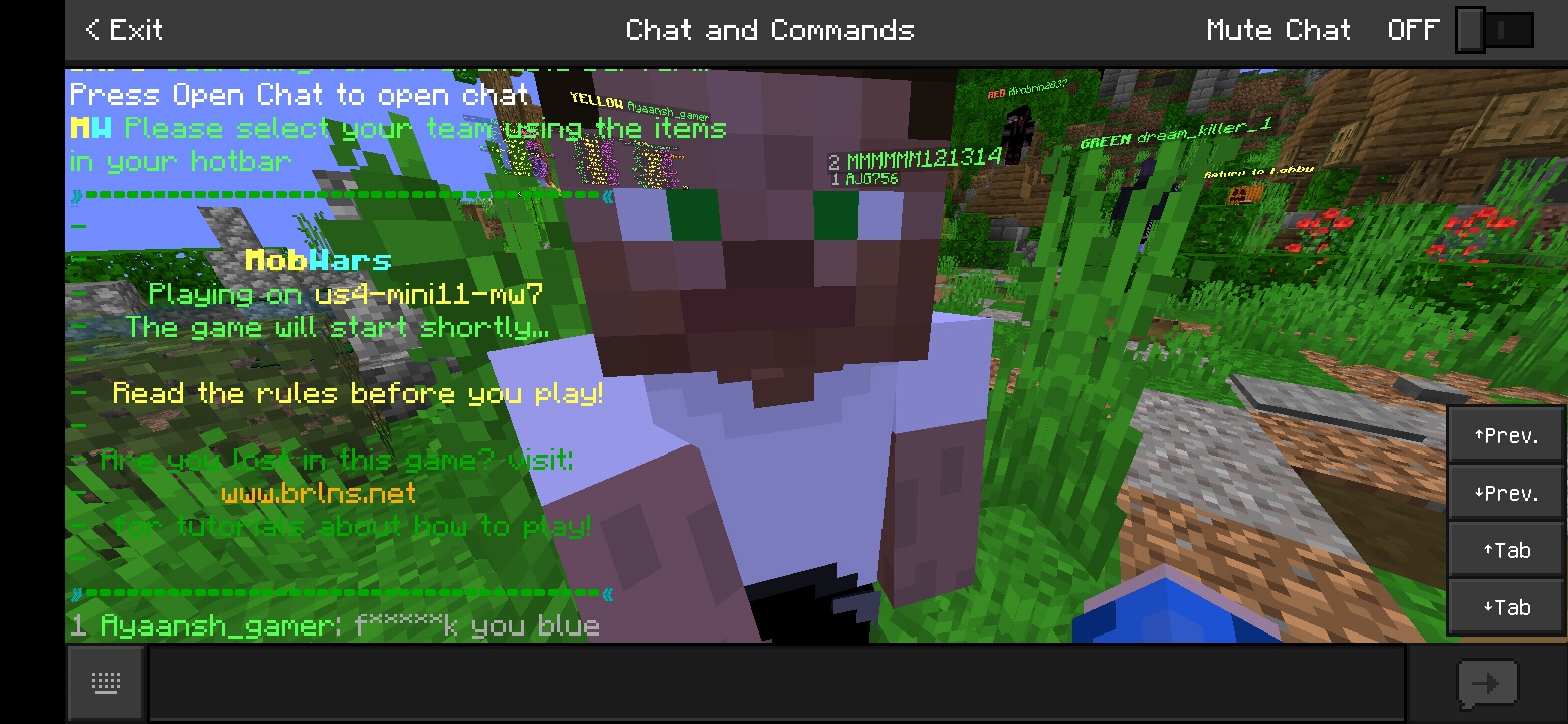 Screenshot_20211011-134154_Minecraft.jpg