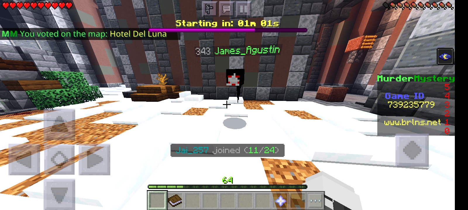 Screenshot_20211129-210015_Minecraft.jpg