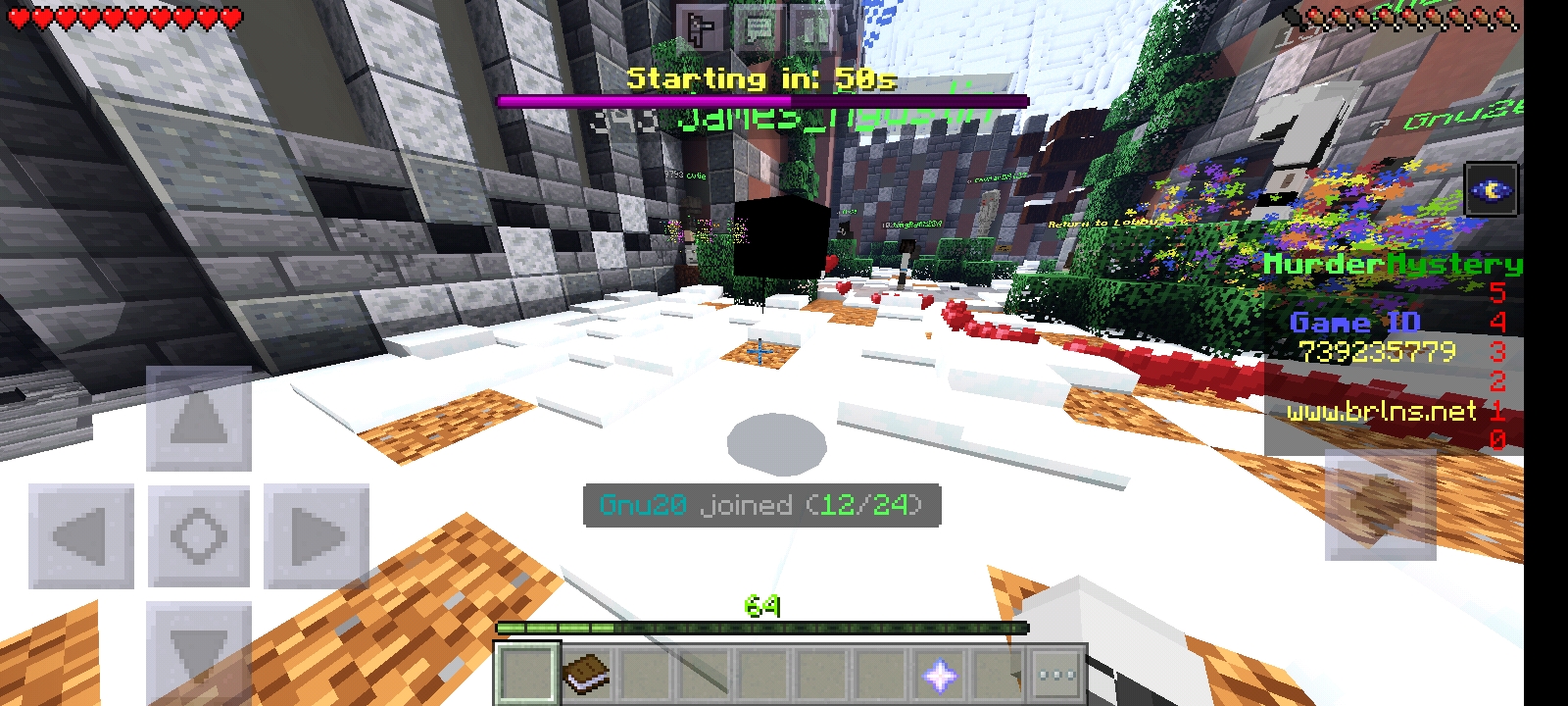 Screenshot_20211129-210025_Minecraft.jpg