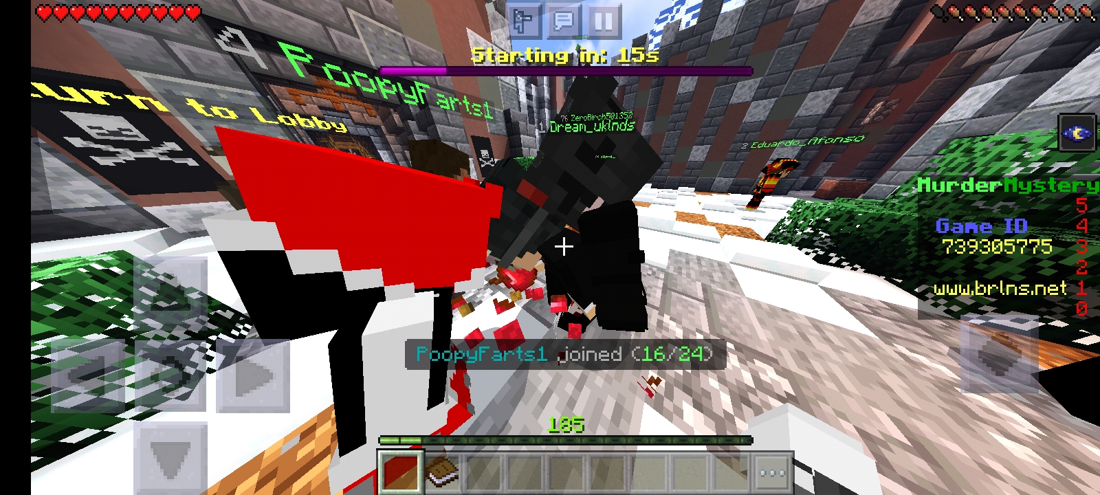 Screenshot_20211205-185825_Minecraft.jpg