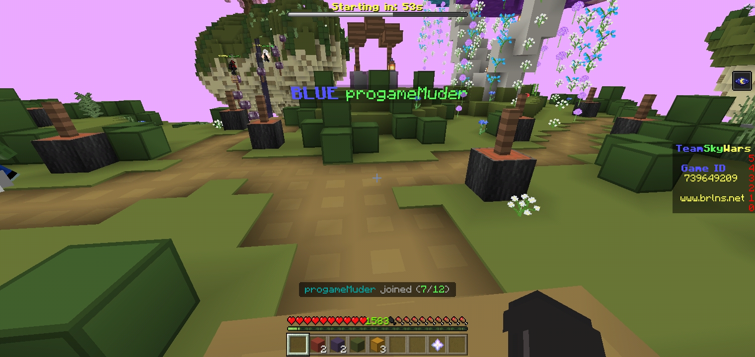 Screenshot_2022-01-10-16-34-21-687_com.mojang.minecraftpe.jpg