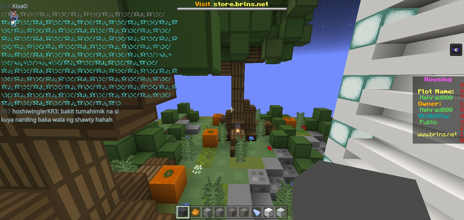 Screenshot_2022-01-25-17-16-10-274_com.mojang.minecraftpe.jpg