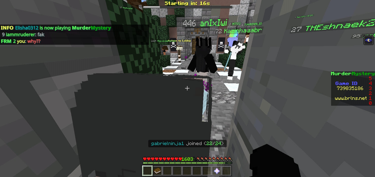 Screenshot_2022-01-31-18-40-04-673_com.mojang.minecraftpe.jpg