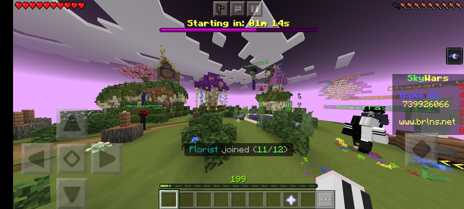 Screenshot_20220211-185757_Minecraft.jpg