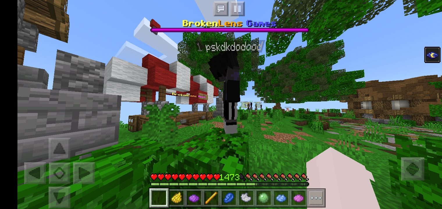 Screenshot_20220222_143447_com.mojang.minecraftpe.jpg