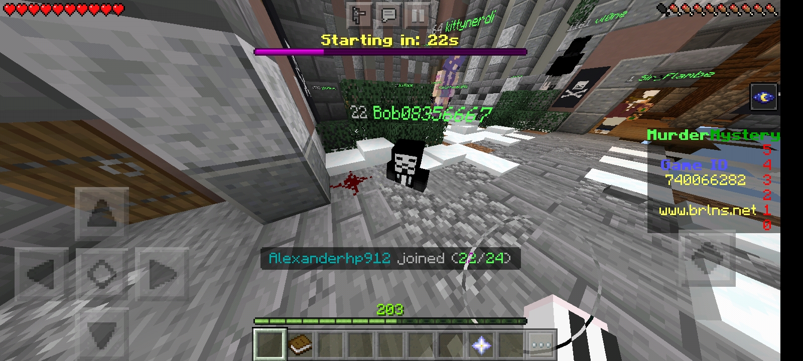 Screenshot_20220228-114004_Minecraft.jpg