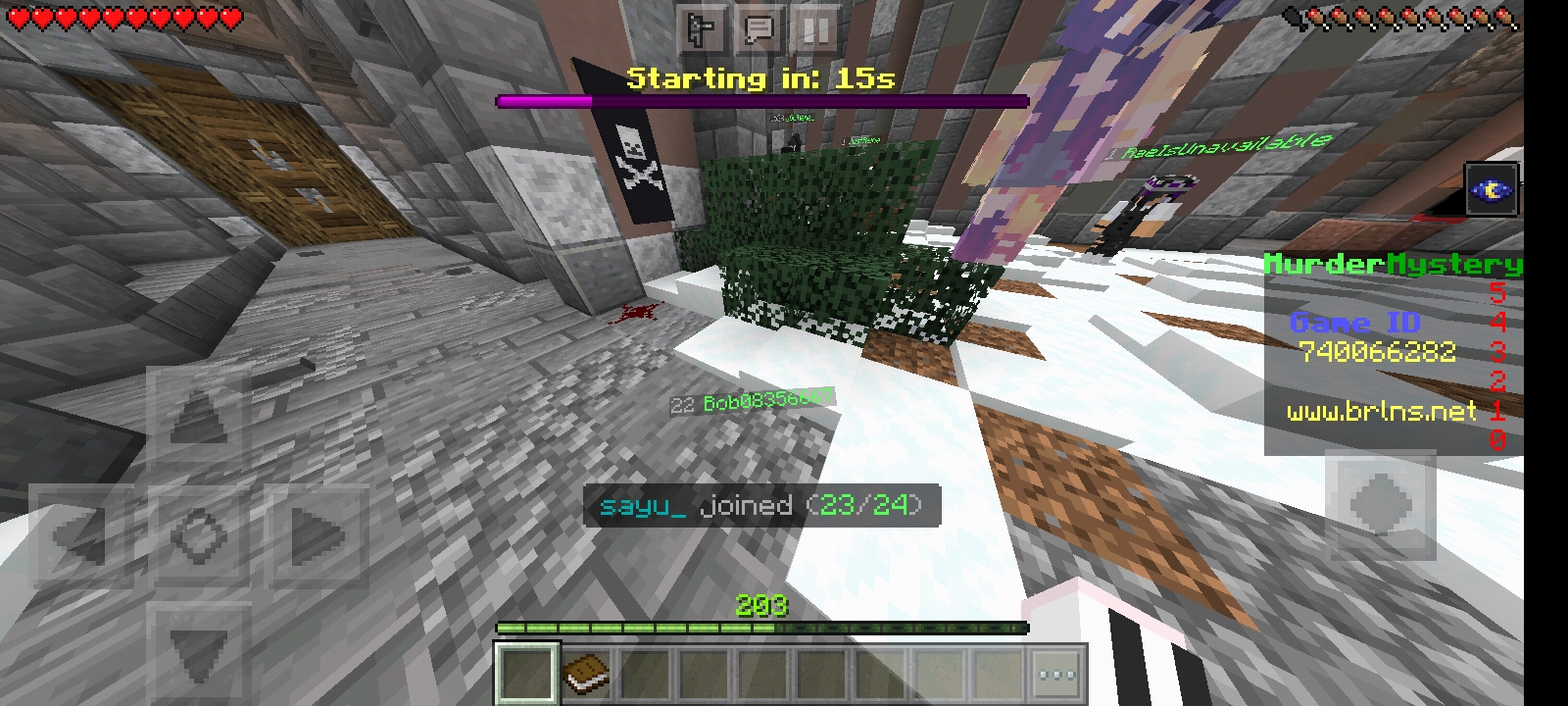 Screenshot_20220228-114011_Minecraft.jpg
