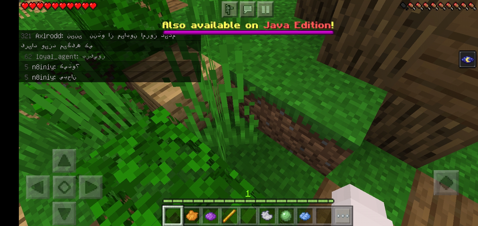 Screenshot_20220308_185710_com.mojang.minecraftpe.jpg