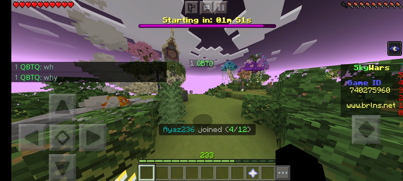 Screenshot_20220326-162857_Minecraft.jpg