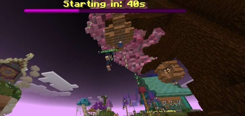 Screenshot_20220406-150500_Minecraft.jpg