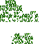 SkinseedSkin_1577145579220.png