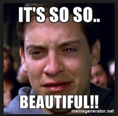 spiderman-crying-beautiful-meme.png