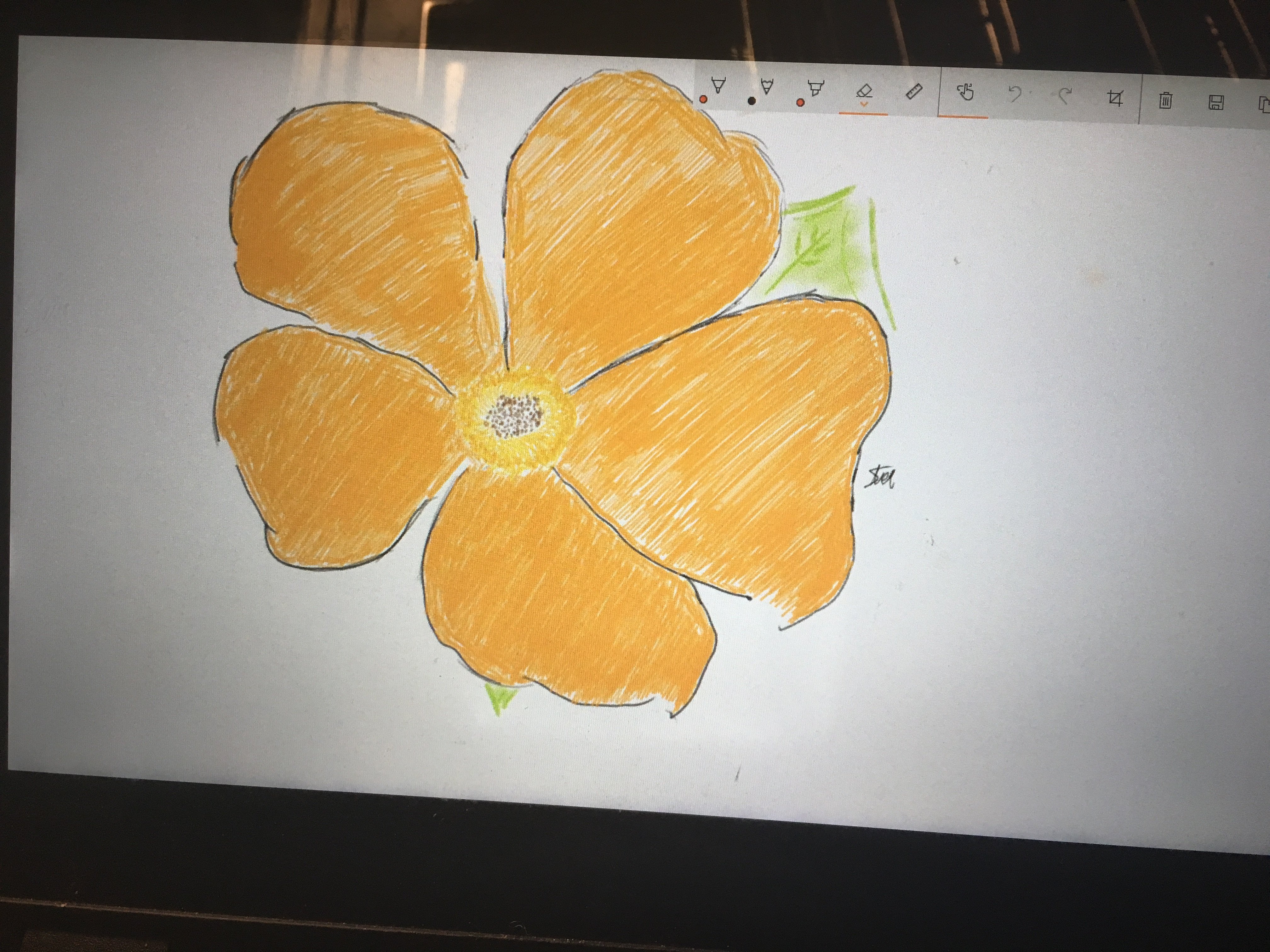 Strelitzia's Drawing.jpg