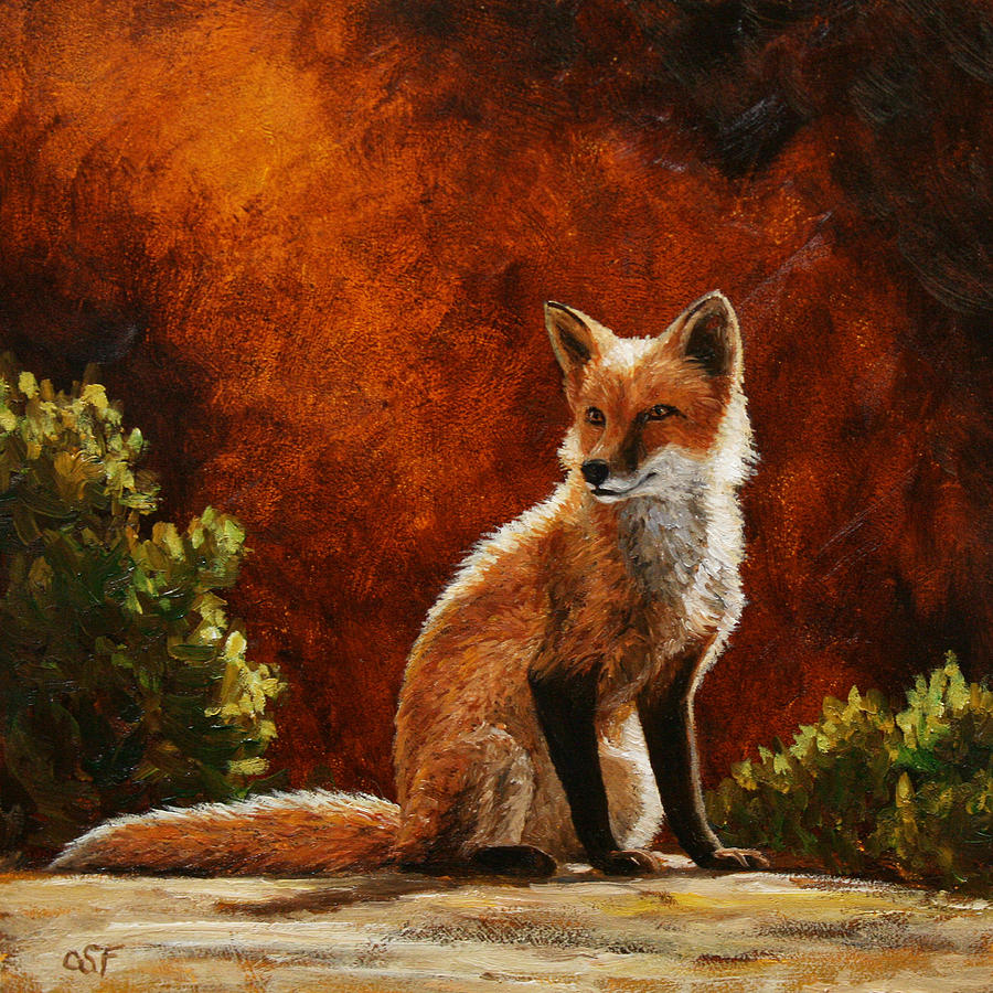 sun-fox-crista-forest.jpg