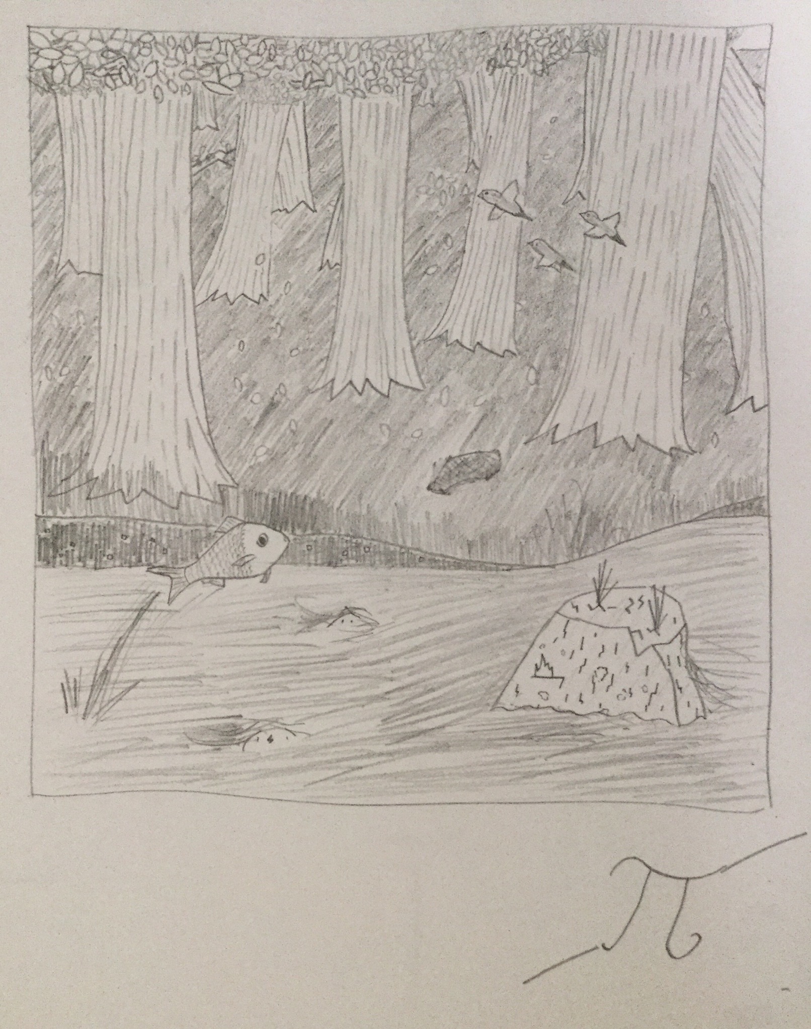 superpi2's Drawing.jpg
