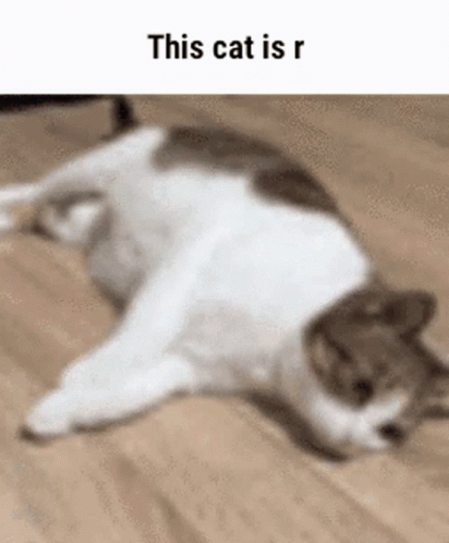 tenor (2).gif