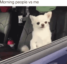 tenor.gif