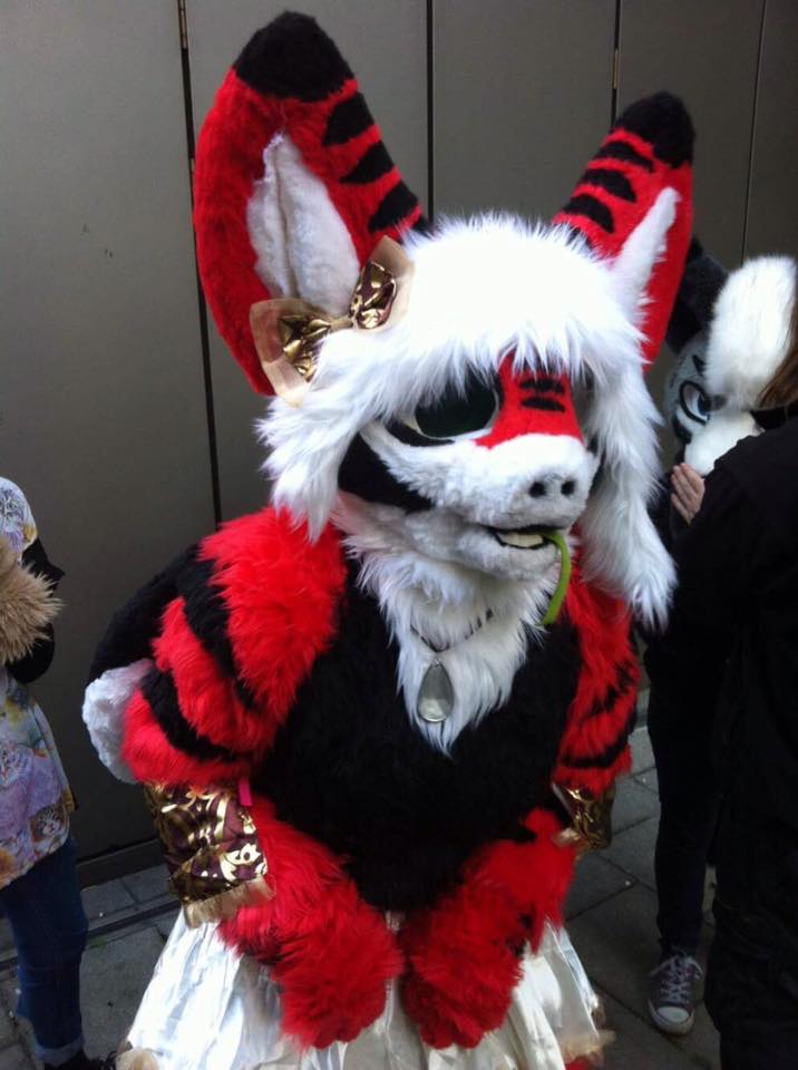 Tigerlilly.jpg